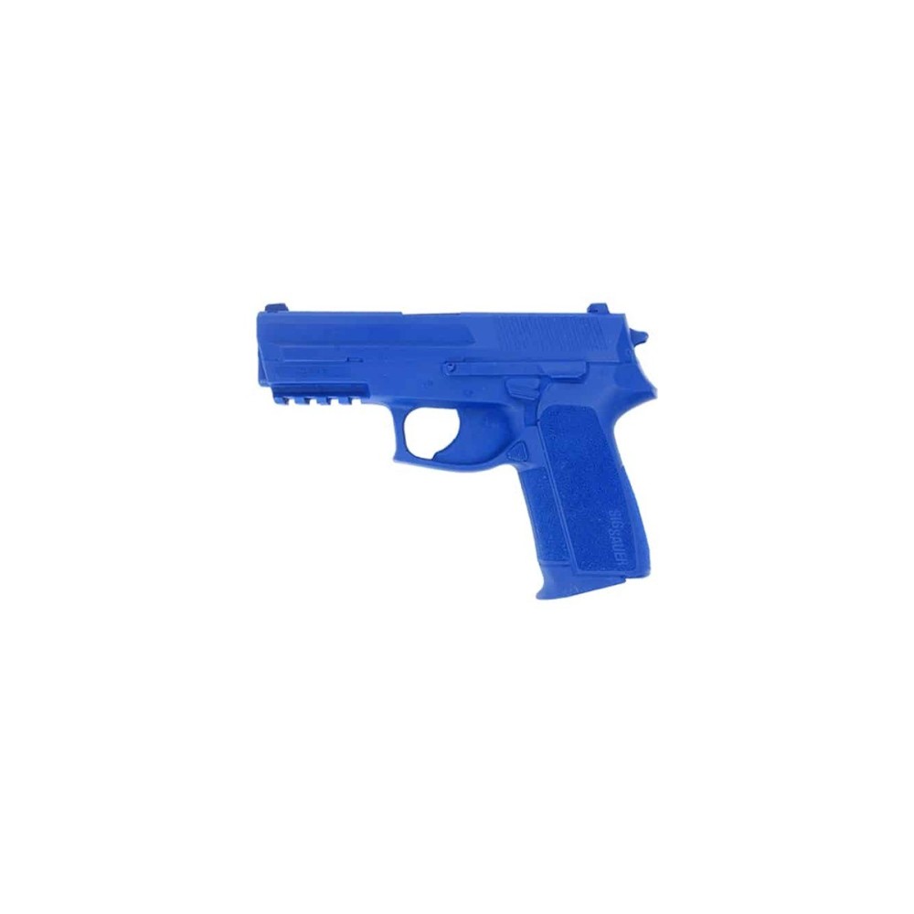 SIG2022 d’Entraînement