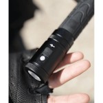 Module Lampe pour Bâton Télescopique 580