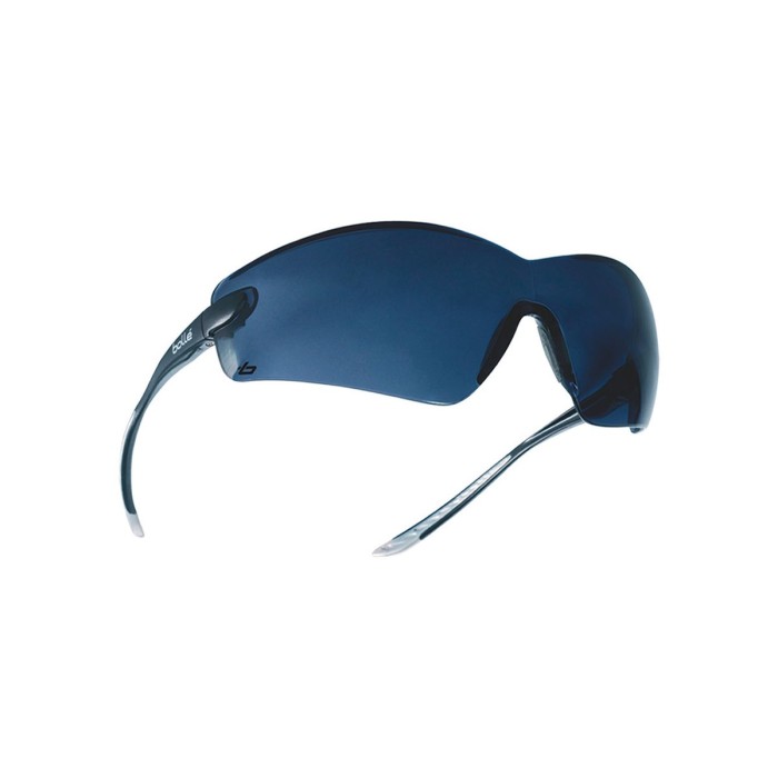 Lunettes Cobra Fumées – BOLLÉ